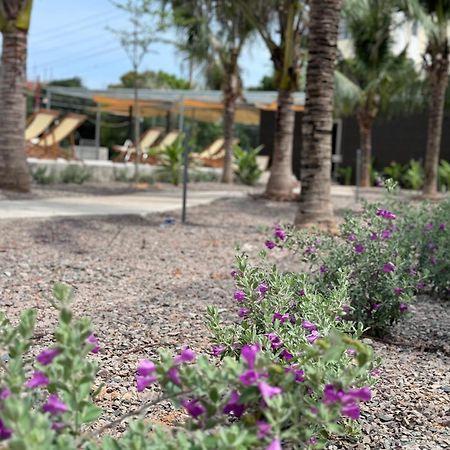 Wanderlust Garden Inn Mui Ne Bagian luar foto