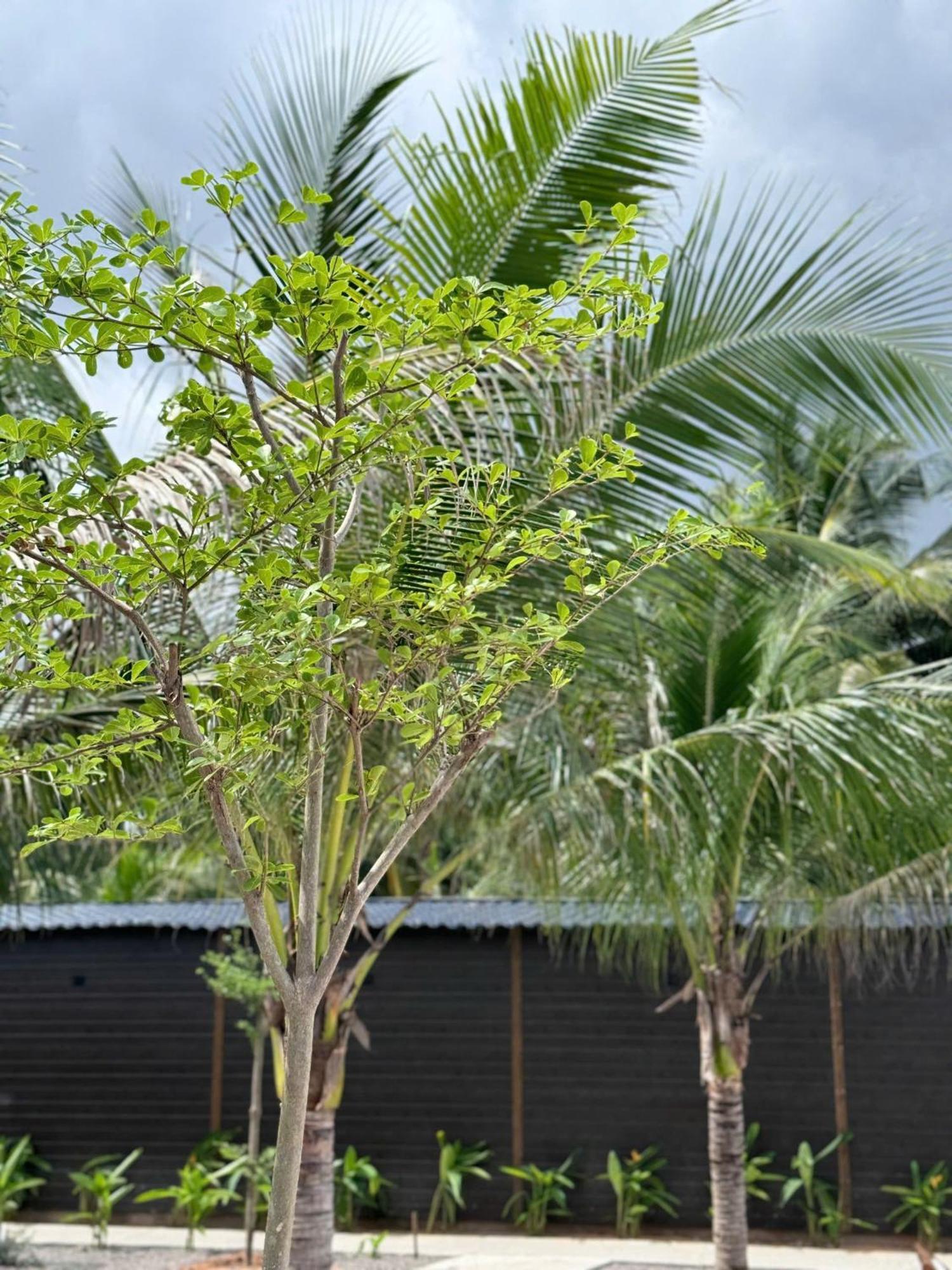 Wanderlust Garden Inn Mui Ne Bagian luar foto